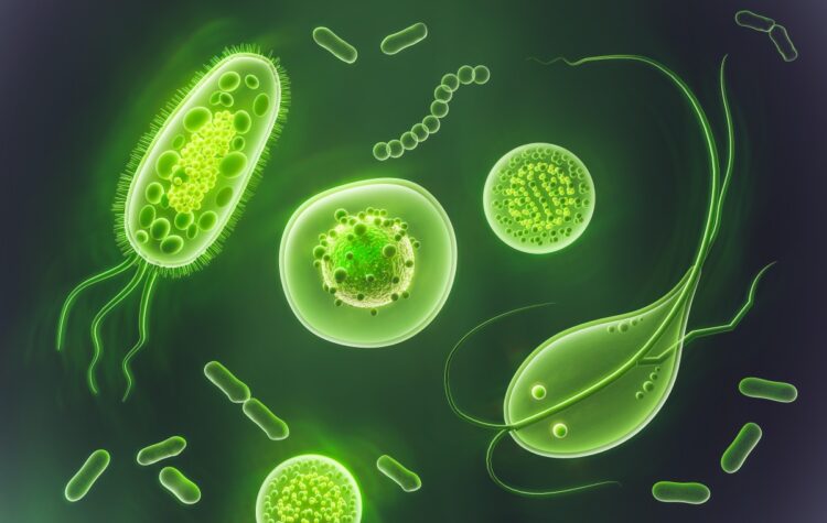 Nature's Allies: Leveraging Biological Control Methods for Pest and Disease Management in Agriculture 53 Optimized microscopic germs pathogens
