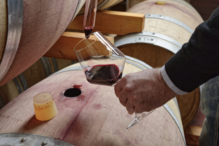Crafting Ambrosia: The Art of Home Winemaking Unveiled 54 midsection woman holding drink table