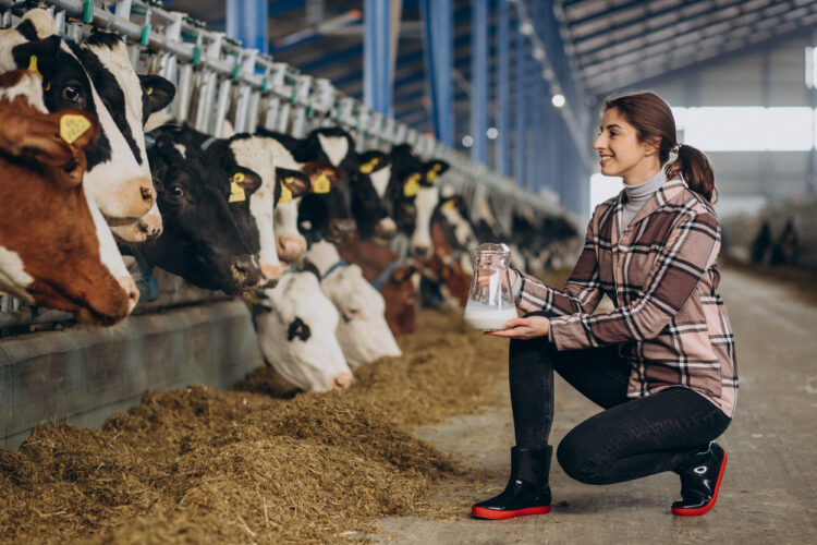 Empowering Indian Cow Dairy Farmers: Government Schemes and Subsidies 51 young woman standing with milk jug cowshed